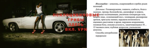 mdpv Армянск