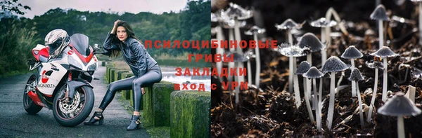 mdpv Армянск
