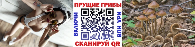 Галлюциногенные грибы GOLDEN TEACHER  Суровикино 
