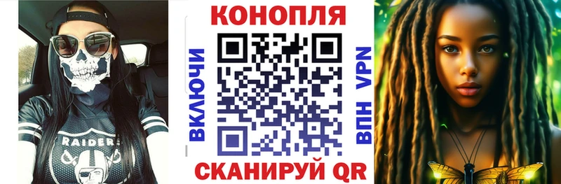 OMG ссылки  Суровикино  Бошки Шишки White Widow 
